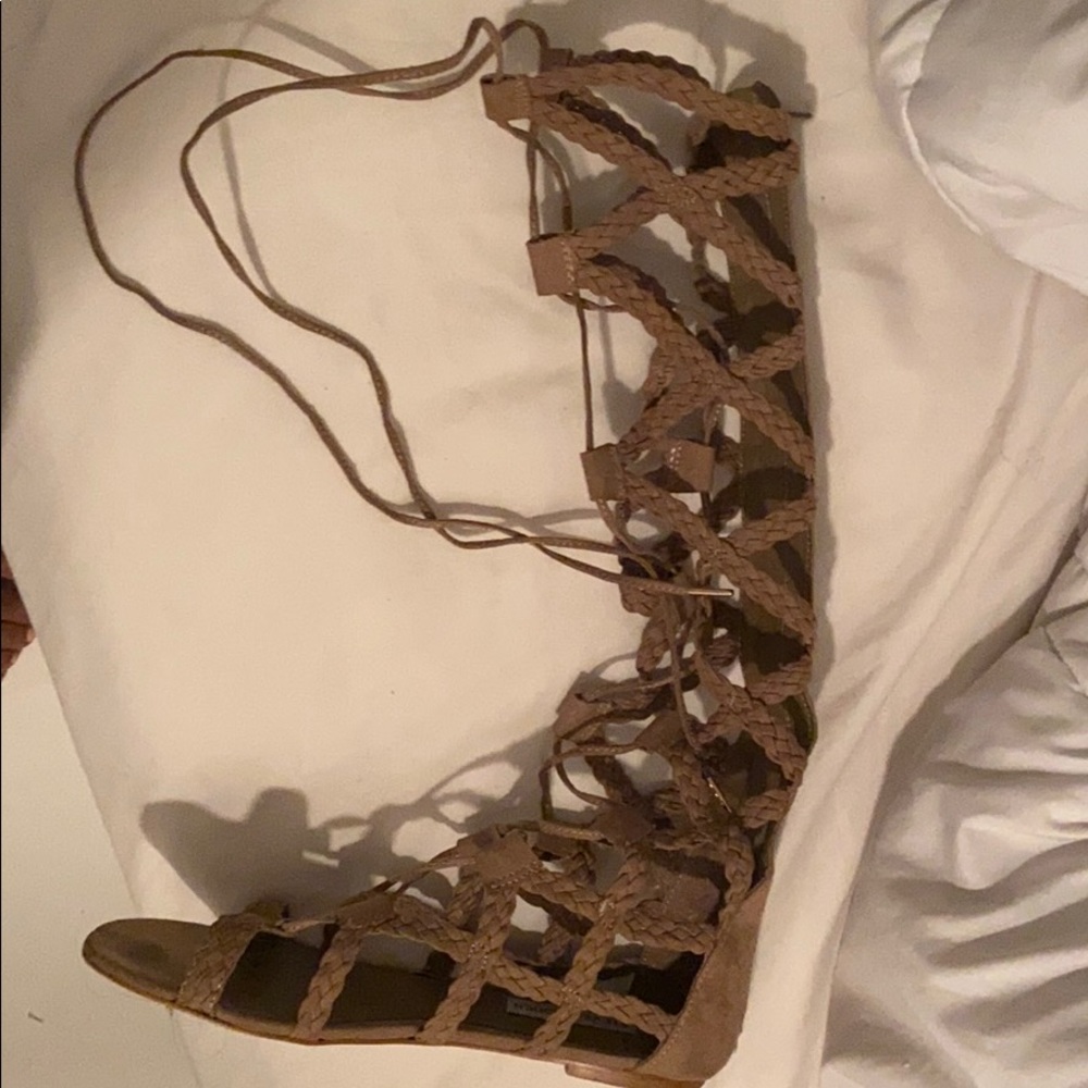 Steve Madden gladiator sandals